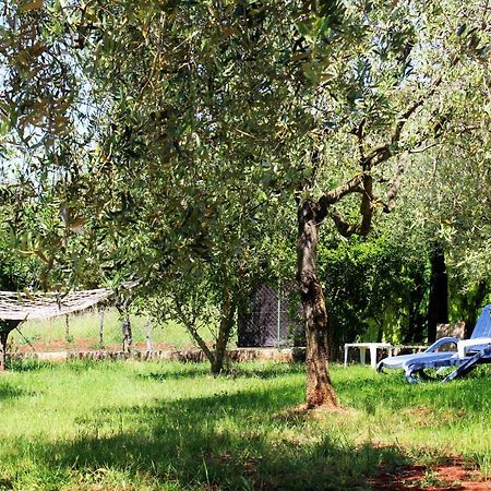Oliven Garden Villa Rovinj Ngoại thất bức ảnh
