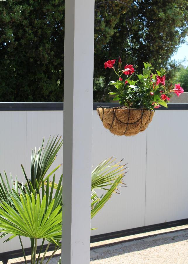 Oliven Garden Villa Rovinj Ngoại thất bức ảnh