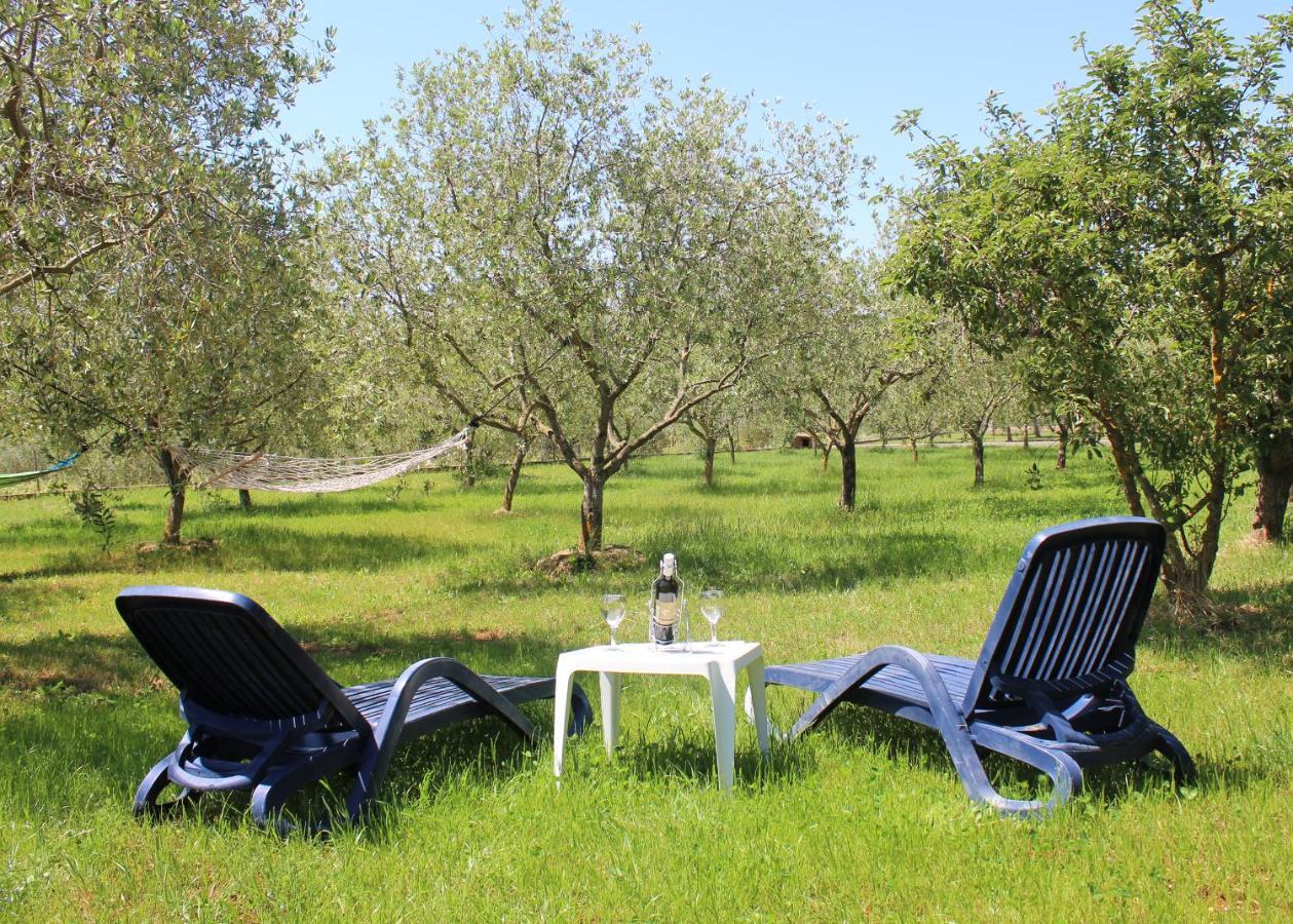 Oliven Garden Villa Rovinj Ngoại thất bức ảnh