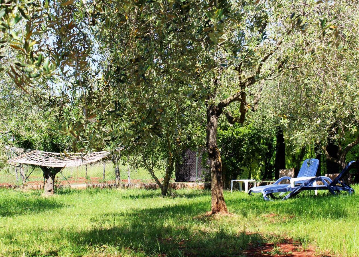 Oliven Garden Villa Rovinj Ngoại thất bức ảnh
