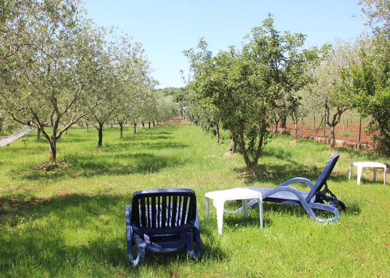 Oliven Garden Villa Rovinj Ngoại thất bức ảnh