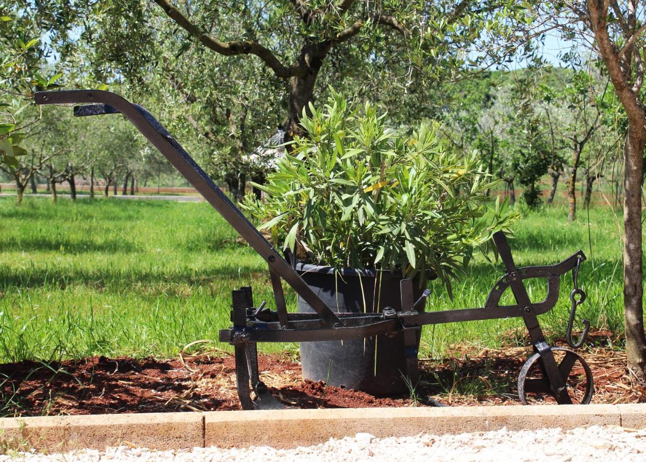 Oliven Garden Villa Rovinj Ngoại thất bức ảnh